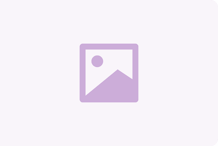 IP Gazette